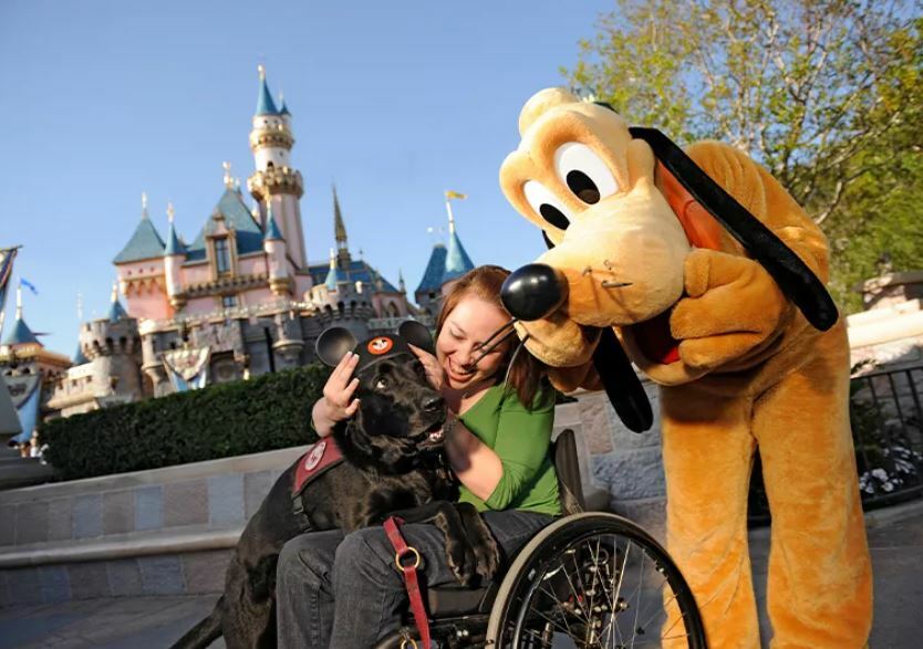 Cadeirante com cachorro e personagem